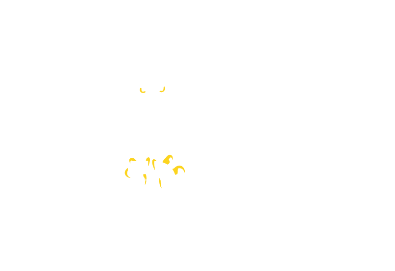 SCCI RAPTOR